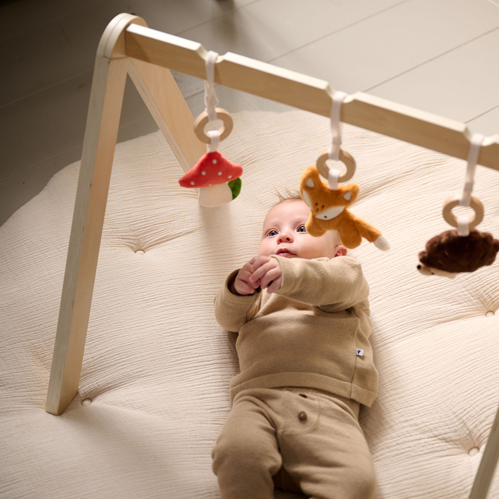 BABY PLAY GYM WOOD NATURAL «FORÊT» | INCL. ACCESSORIES