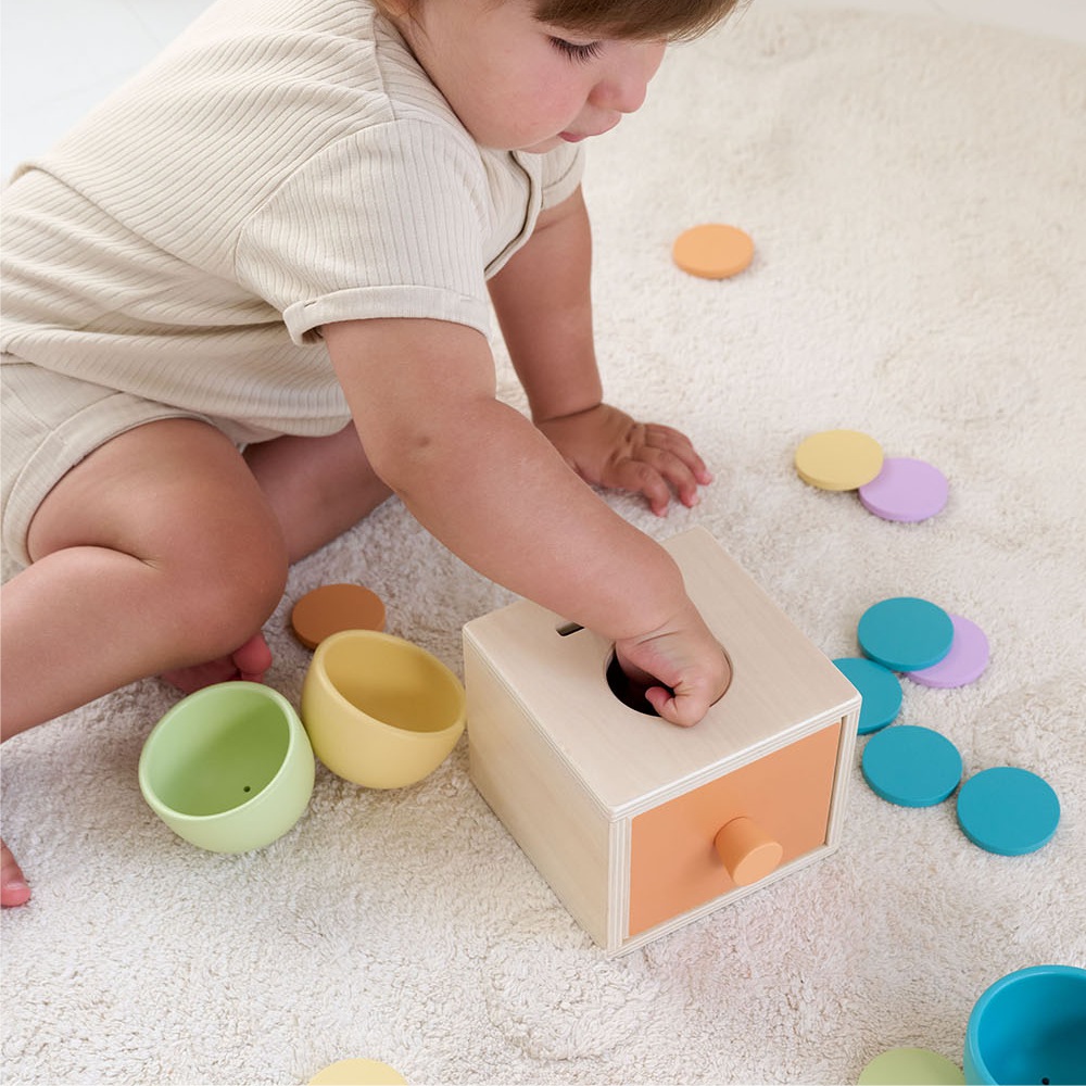 Montessori play kit | 13-15 Months
