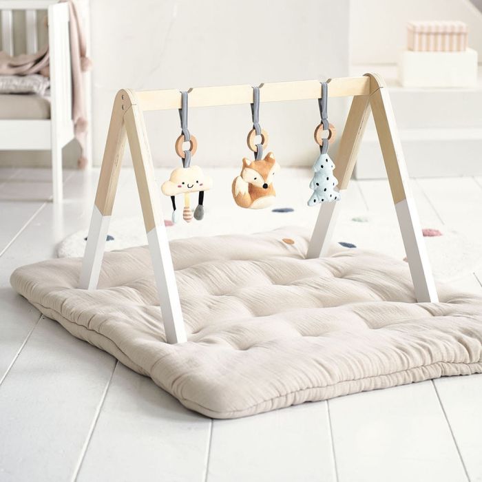 A frame sales baby gym