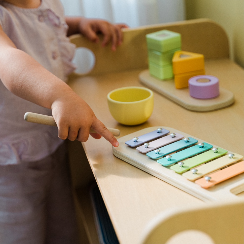 Coffret de jouets Montessori | 16-18 Mois