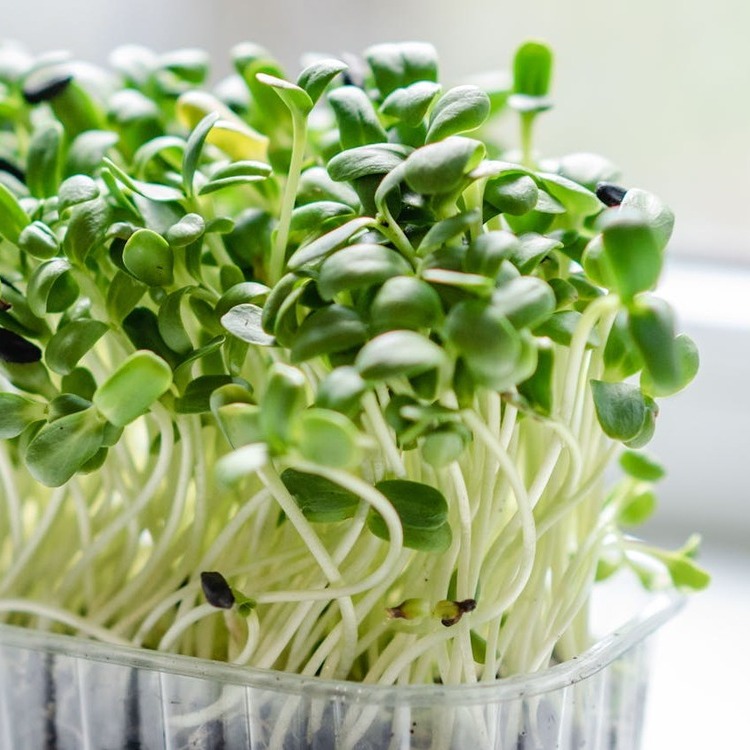 lente-inspiratie petite amelie